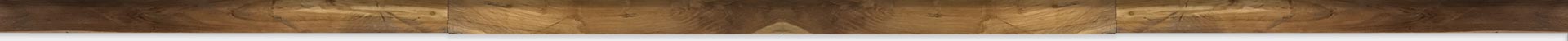 pleca footer 3
